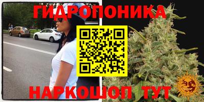 стафф Владимир