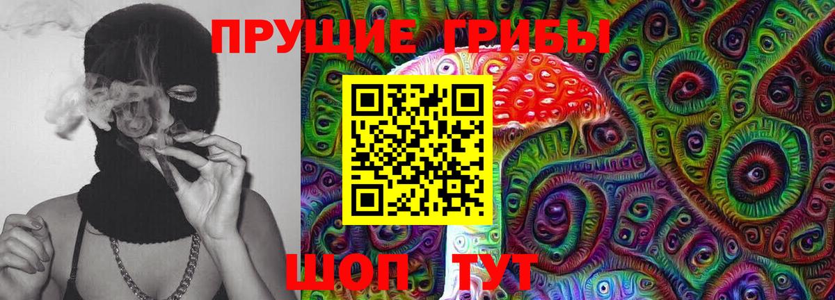 Псилоцибиновые грибы Psilocybine cubensis Бор
