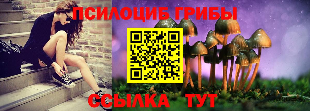 Галлюциногенные грибы GOLDEN TEACHER  Вход с VPN  Псилоцибиновые грибы Magic Shrooms  Бор 